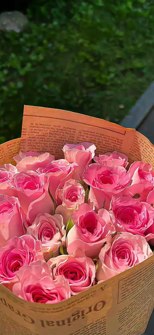 壁纸| 高质量ins风 锁屏壁纸_loveeee