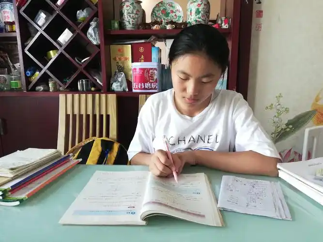 一丝不苟地做作业