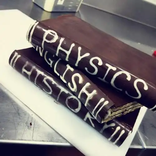 桃qi小夭做的书本蛋糕