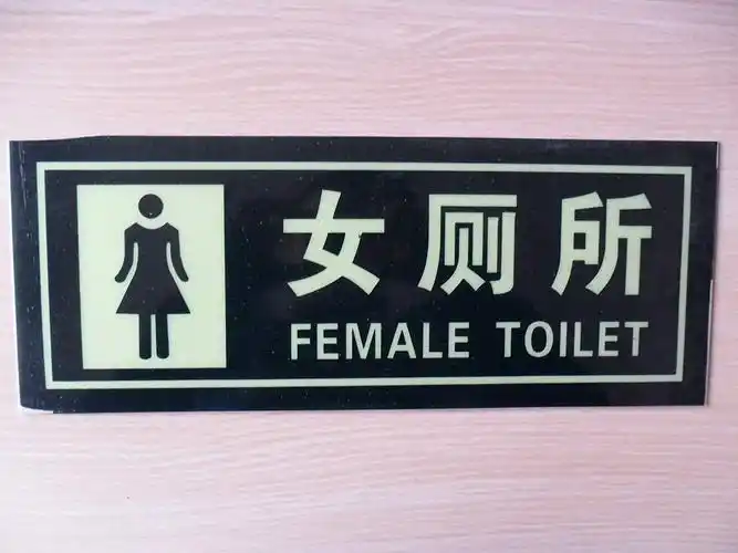 子途 通用夜光提示牌 女厕所所标识牌 14*36cm 带背胶 女厕所男女洗手
