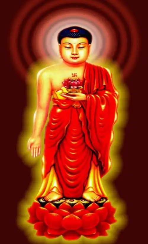 念佛念哪位佛菩萨圣号最好(阿弥陀佛光中极尊)