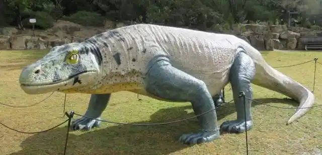 古巨蜥:世界上存在过的最大体型蜥蜴,比科莫多巨蜥大10倍|大蜥蜴|爬行