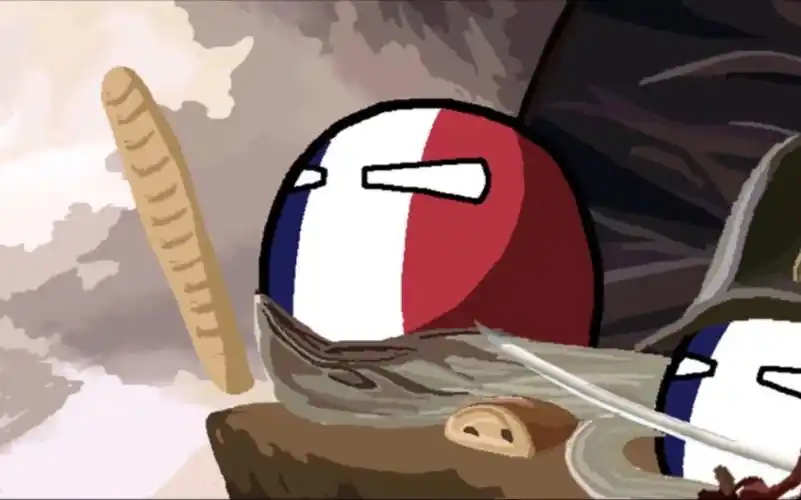 波兰球法国历史