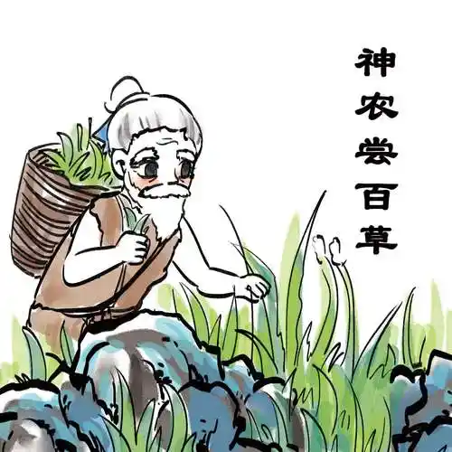 千字文最新章节_周兴嗣著_掌阅小说网