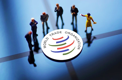 在讨论wto协议草稿的谈判组中,第一次响起中国声音_新浪科技_新浪网