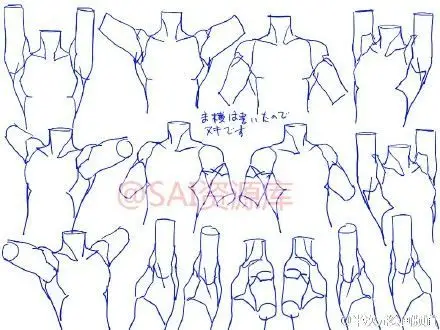 sai资源库# 动漫男性肩部的画法&角度参考!
