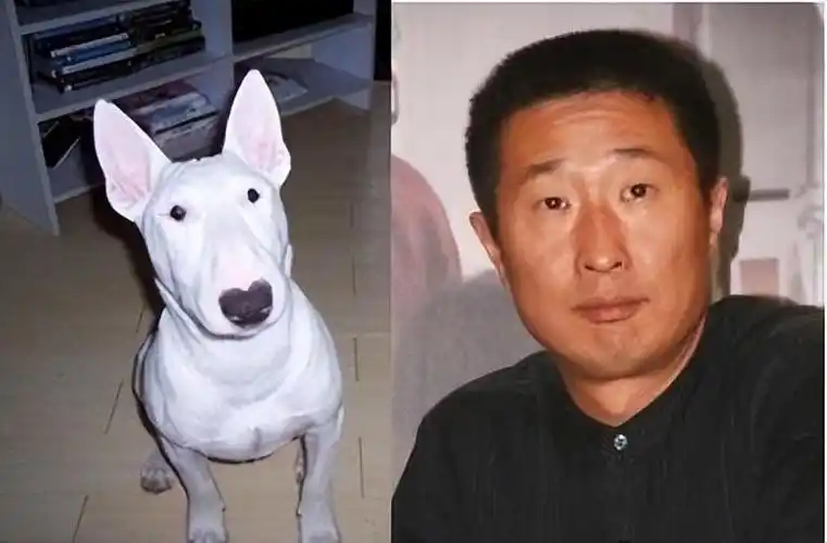 首先是颜王孙红雷,他与"牛头梗"的撞脸早在《极挑》中就被黄渤所调侃