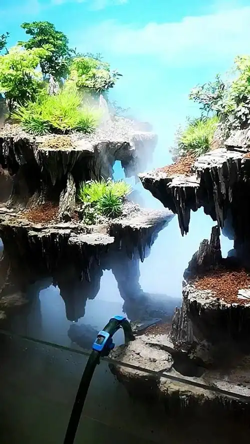 室内悬浮造景,我教你 #免费造景培训公开课  #创意 #室内装修