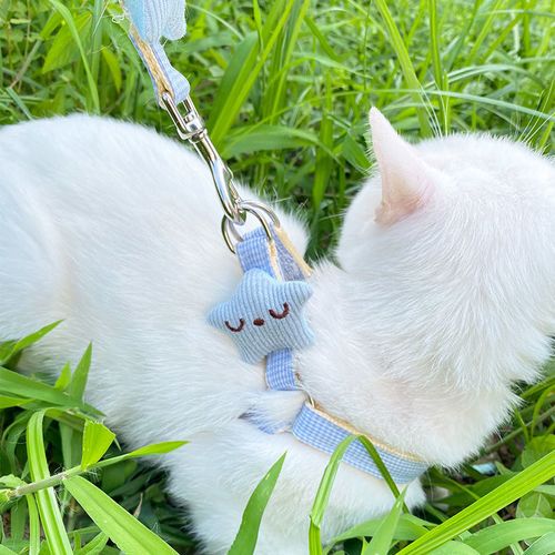 猫链子牵引绳溜猫神器猫咪专用遛猫绳防挣脱猫绳猫猫拴猫绳牵猫绳