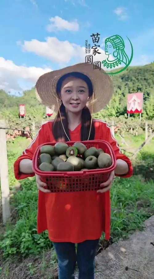 苗家圆圆的美篇 - 美篇