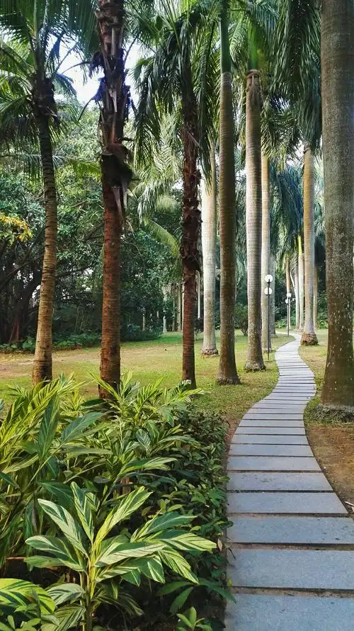 深圳市莲花山公园!深圳市中心地带!