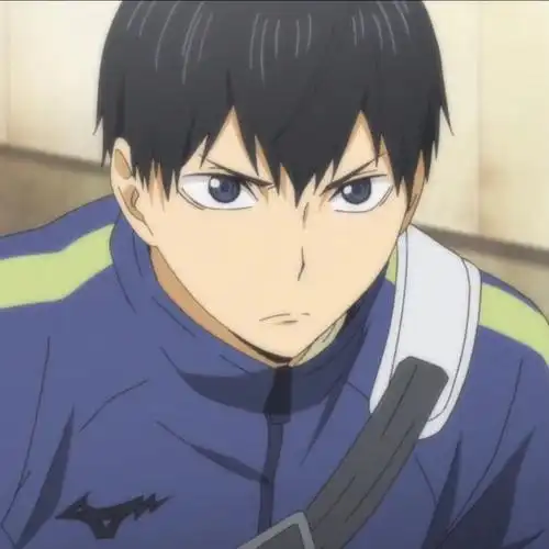 排球少年影山飞雄