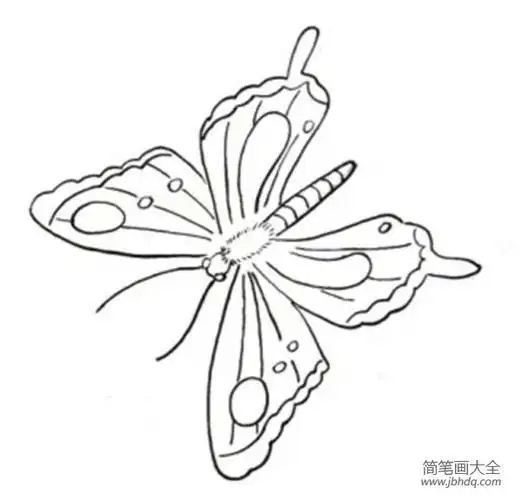 白描桃花蝴蝶的绘画技法简笔画教案-简笔画大全
