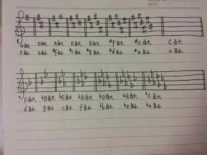 乐理 所有大小调的升降号,要详细.