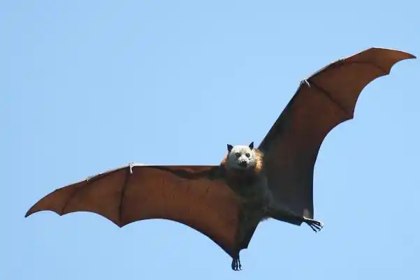 所谓的地震云真的存在吗真的能预测地震吗