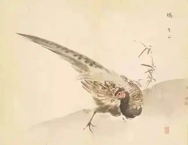 《诗经》里的关关雎鸠