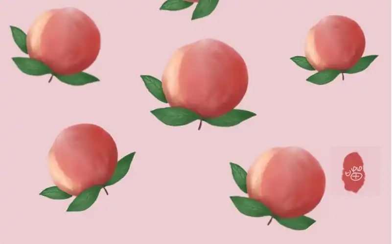 procreate手绘    超简单的水蜜桃绘画过程