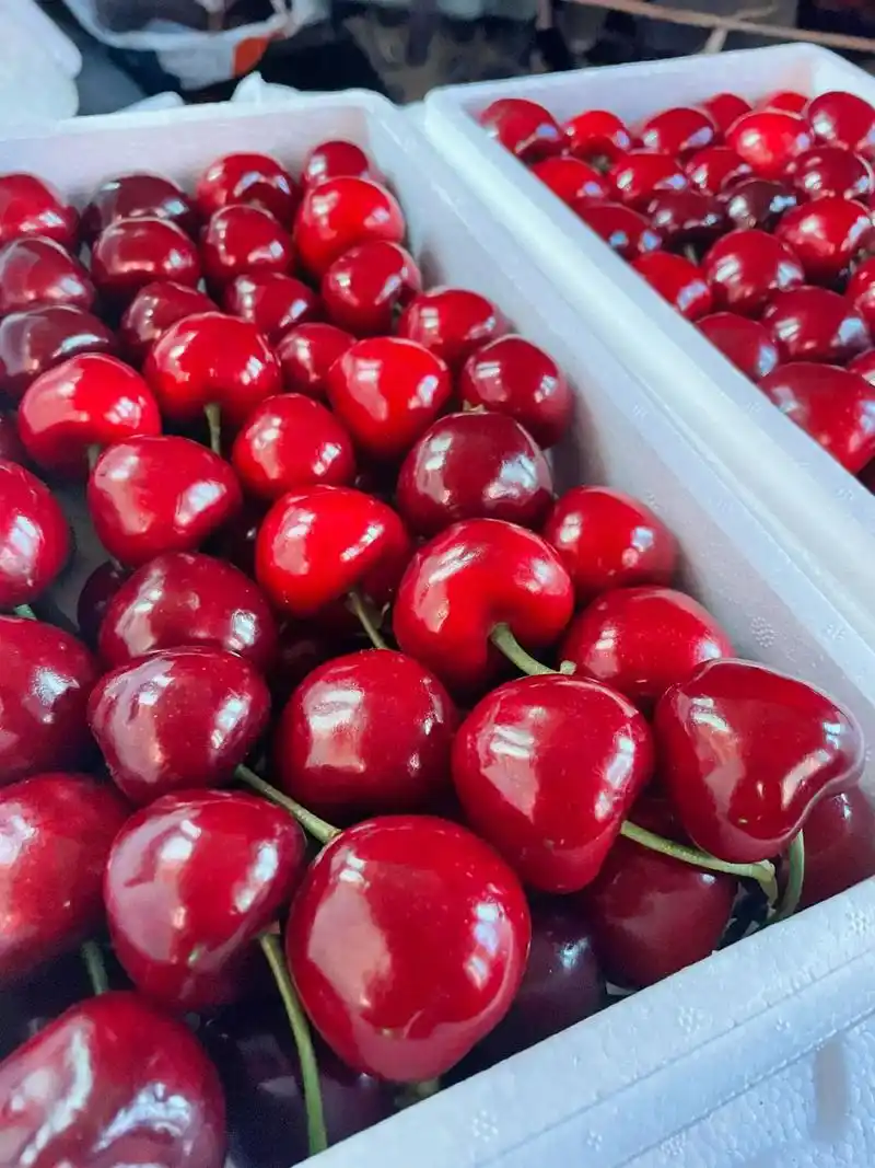 好吃的大连樱桃🍒开始接单啦.喜欢吃樱桃的伙伴们可以看过来啦 - 抖