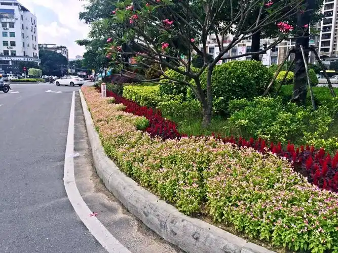 沟头圆圈渠化岛花化