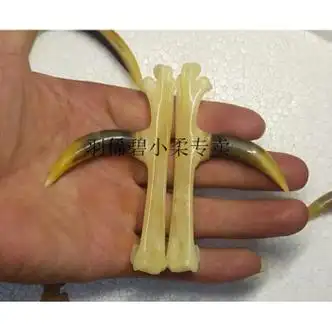 羽俙碧文玩鸡蹬子 鸡蹬子文玩鸡爪骨把件文玩老鸡拐子老公鸡蹬子文玩