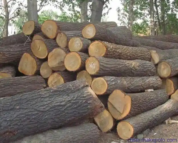 胜佳木业低价供应云南清香木原木