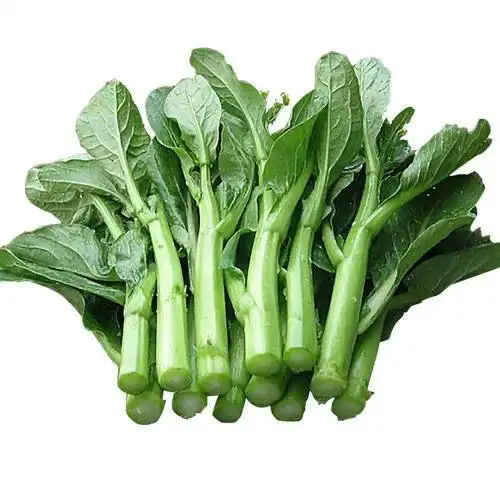 上海仓特新鲜广东菜心脆甜菜心广东菜薹菜花绿色蔬菜可搭配茼蒿 三斤
