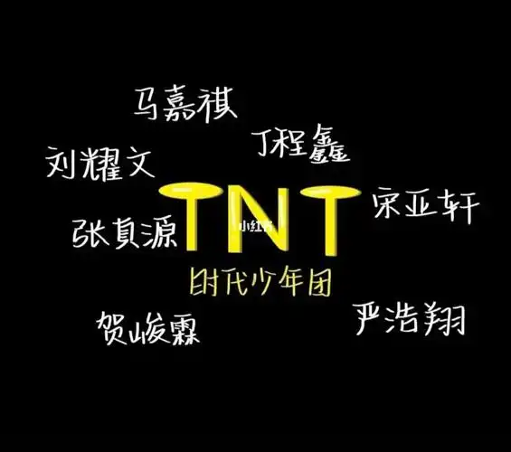 tnt时代少年团