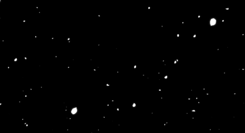 动漫唯美花瓣飘落黑色gif动图_动态图_表情包下载_soogif