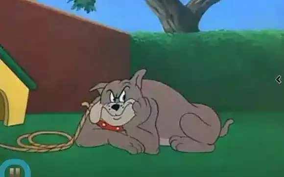 猫和老鼠里打一手好酱油的大狗你还记得吗