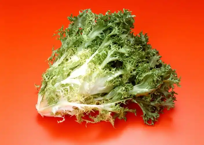 新鲜的一颗生菜写真壁纸