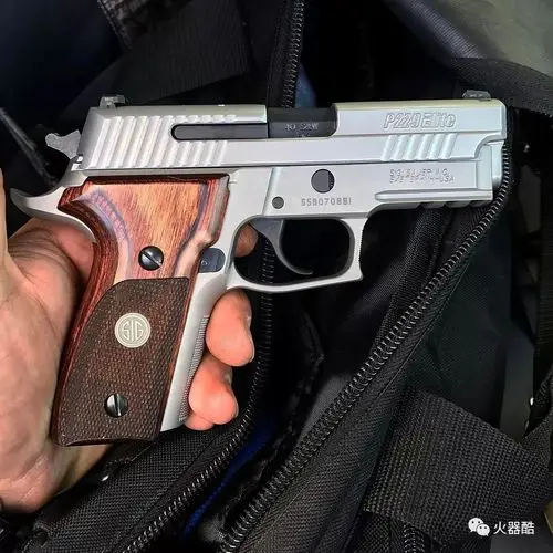 紧凑可靠西格绍尔p229手枪