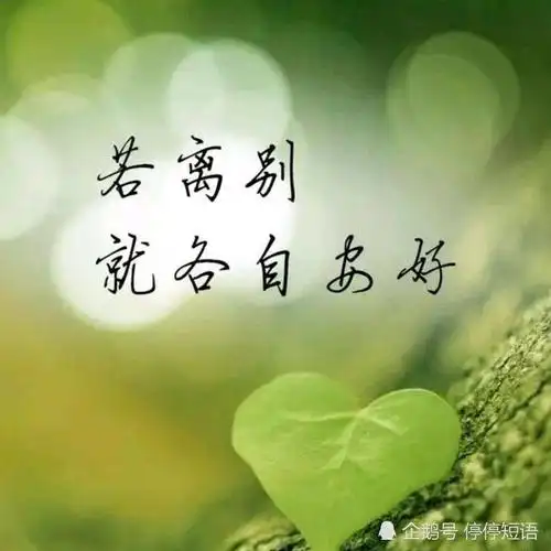 你的世界,我不懂