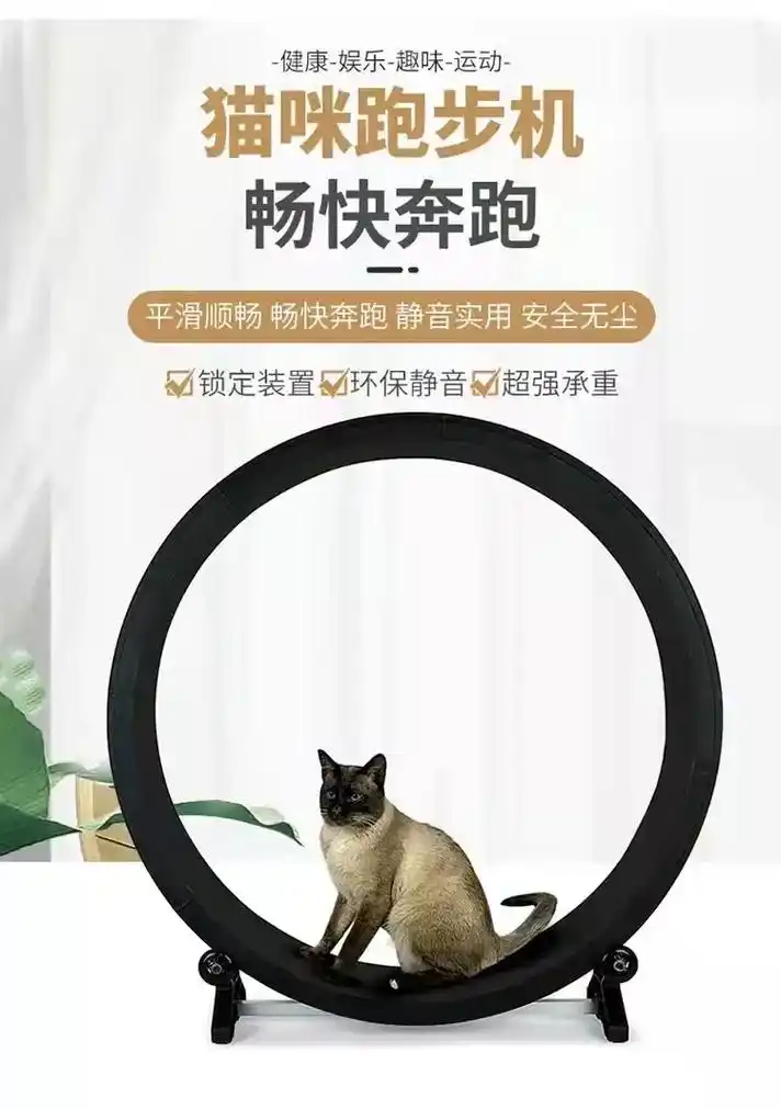 猫咪跑步机#宠物 - 抖音