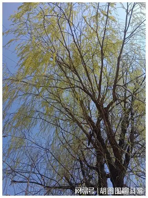 这种新型的啃老正在蔓延老年人一定要守好这三样东西量力而行