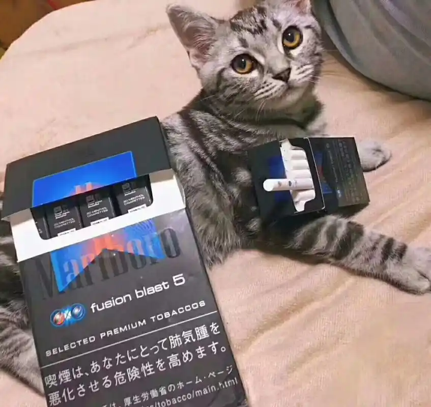 买了几条万宝路水蜜桃双爆 真的好抽到爆呀 大方盒子设计让人耳目一新