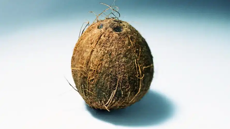 水果摄影之椰子图片电脑壁纸