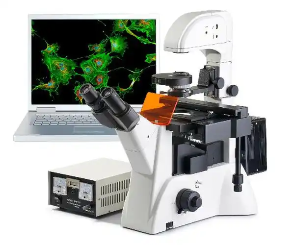 荧光显微镜