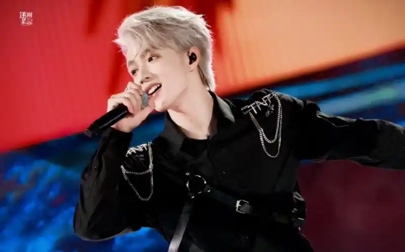 "刘耀文 耀眼的你如此心动"