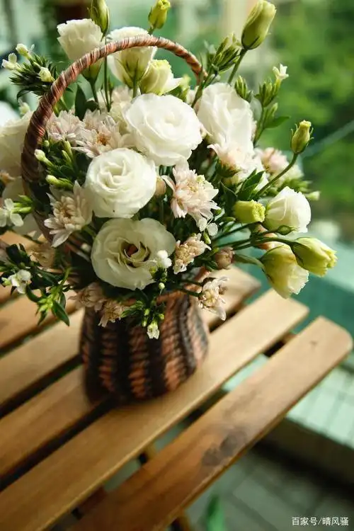 晴风骚的洋桔梗花篮插花作品