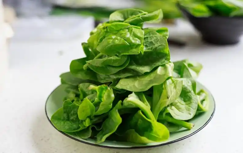 豉油木耳菜的做法,食材:木耳菜250克,油10克,蒸鱼豉油15克,盐3克,大蒜