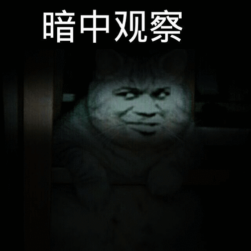 暗中观察gif动图_动态图_表情包下载_soogif