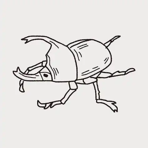 甲虫卡通简笔画