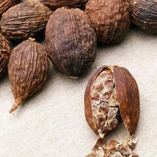 农家香料调料川菜成都四川炖肉草果