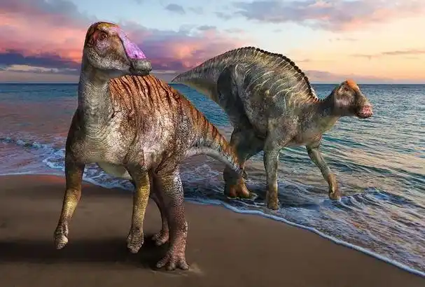 鸭嘴龙(hadrosaurus)是一种生活在约7,500万年前白