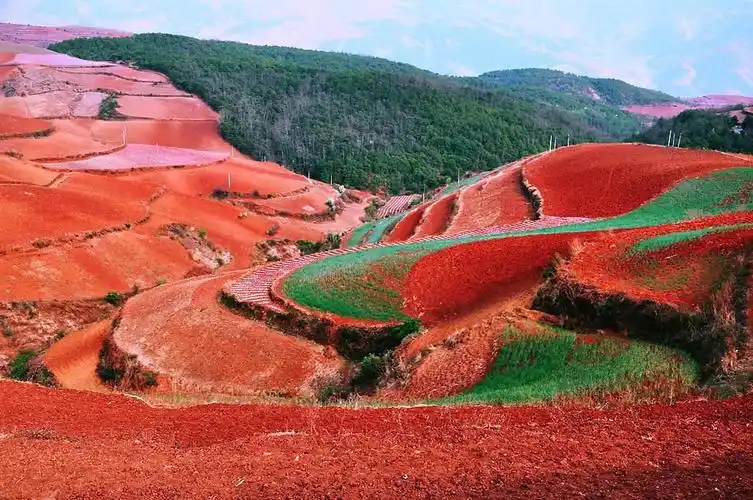 土壤的颜色可能与什么原因有关?为什么会有五彩缤纷的土壤?