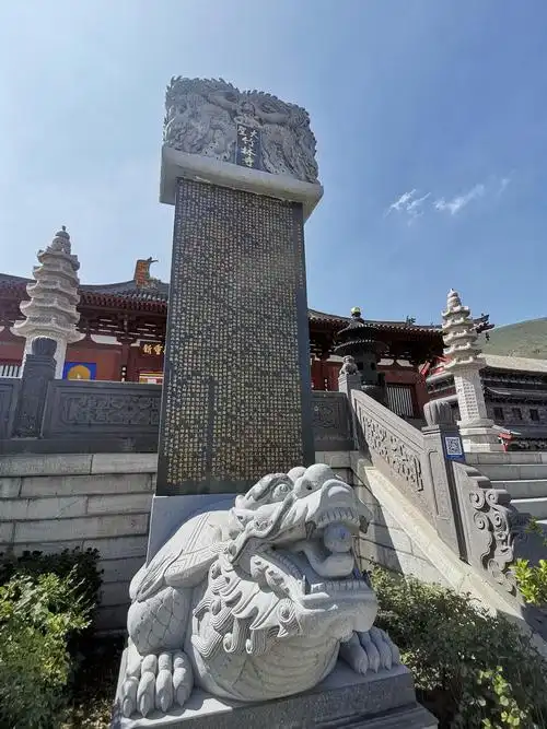 佛教圣地五台山竹林寺主持人孟非亲自拜访唐代舍利塔寺院大殿平台正好