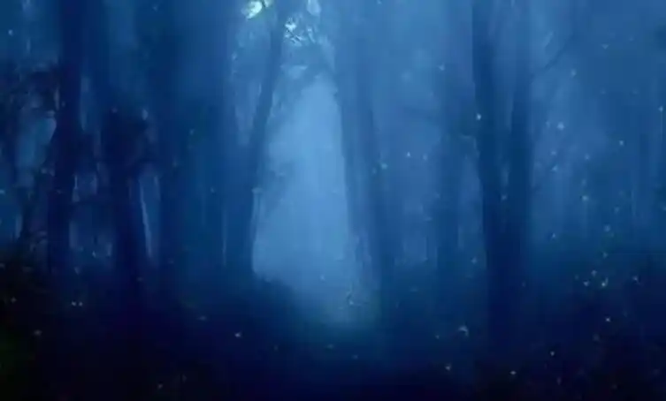 1"鬼火"实际上是磷火,是一种很普通的自然现象.