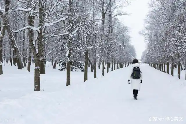 任由雪花密密地落在脸上 我想在狂舞的雪花里 伸手去接住一片 看它