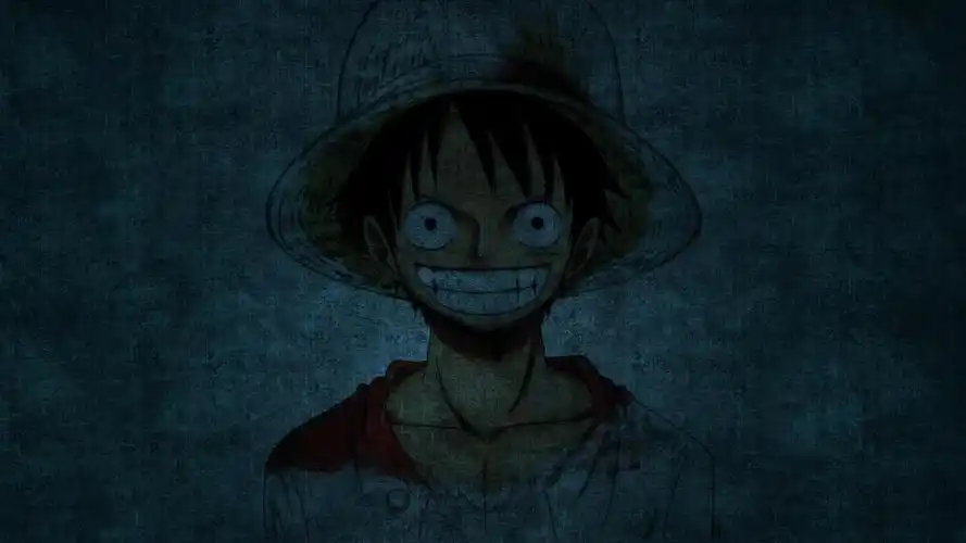 菜鸟的经历和今后目标