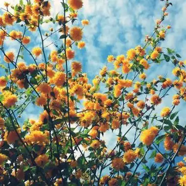 高清好运能聚财女人专用头像图片